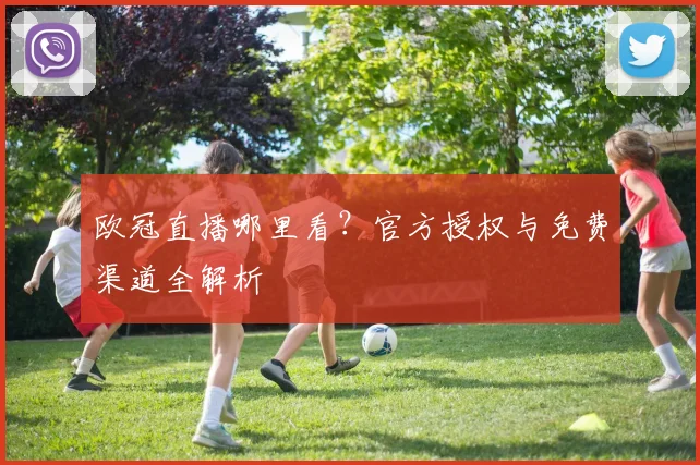 欧冠直播哪里看？官方授权与免费渠道全解析