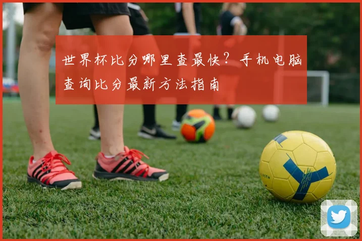 世界杯比分哪里查最快?手机电脑查询比分最新方法指南