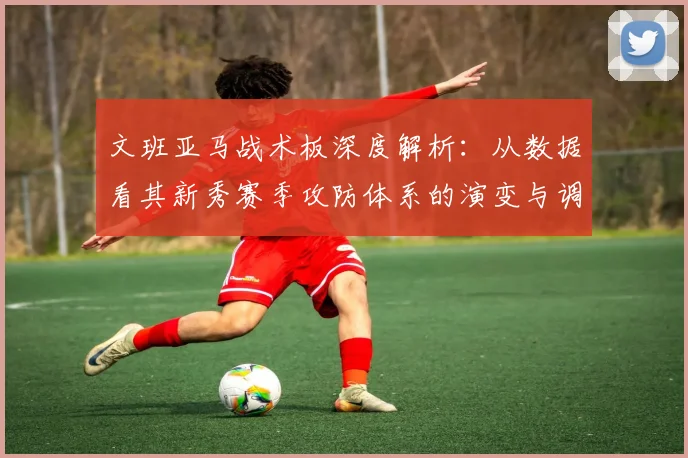 文班亚马战术板深度解析：从数据看其新秀赛季攻防体系的演变与调整